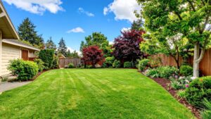 Summer Garden Project Equipment Hire
